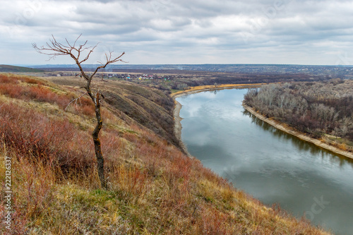 One dead dry tree standing on the shore of the big plain river. Seversky Donets river, Russia, Rostov-on-Don region