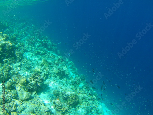 Barriera Corallina Maldive