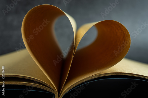 Open the book and fold it into love