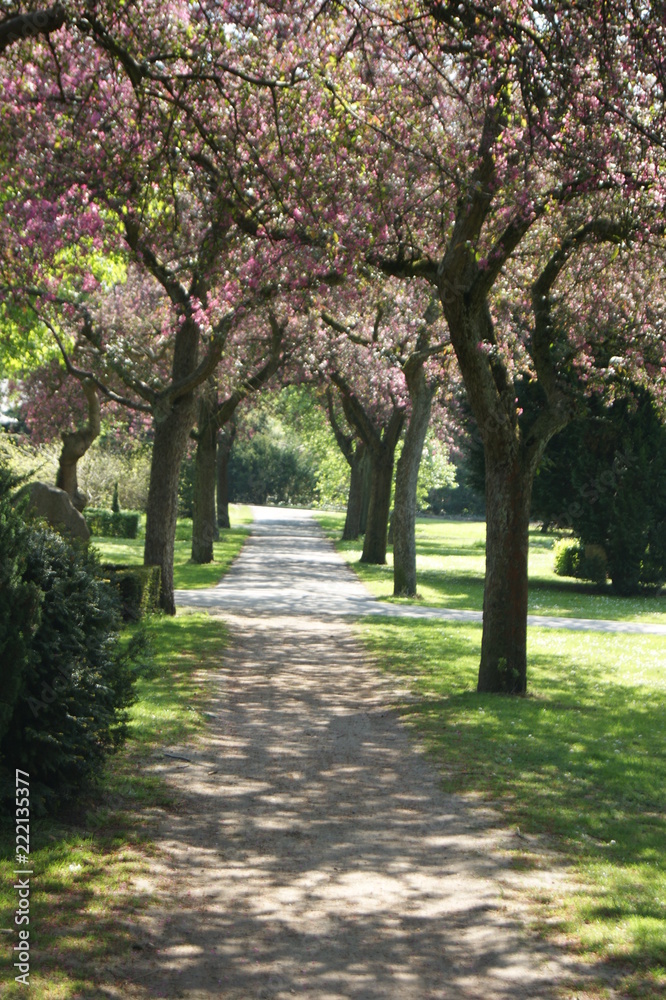 assistens cematary copenhagen assistens cematary copenhagen