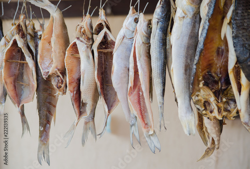Canvas Print Bunches of mullet fish hanging on the rope and drying before sale