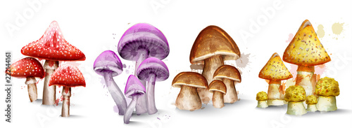 Mushrooms set collection watercolor Vector isolated on white backgrounds