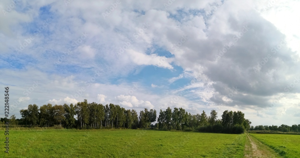 Natur Panorama Lanschaft mit Bäumen und Wiese Natur Panorama Lanschaft mit Bäumen und Wiese