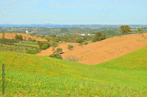 Rural Landscape in Algarve, Portugal