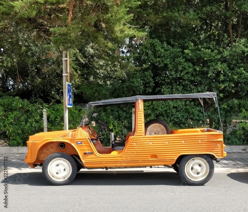Tableau sur toile Citroën Mehari