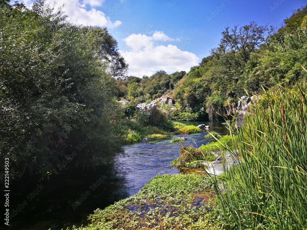 Fototapeta premium The river 