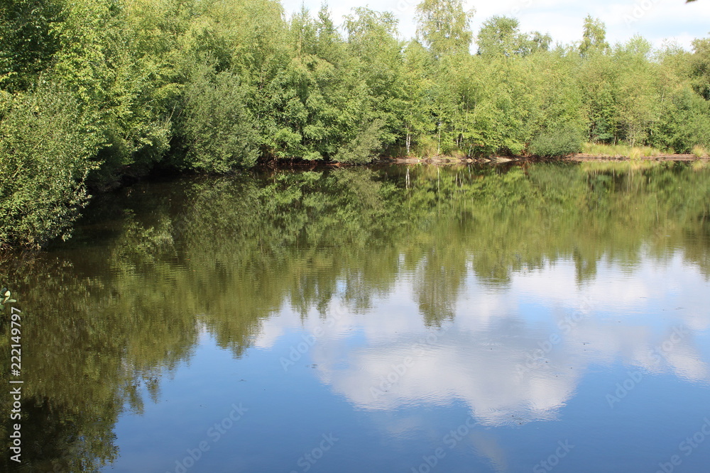 Spiegelung im Wasser