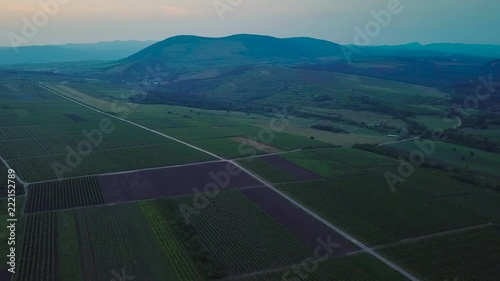 Aerial of Landscape Vineyards at sunset in Tatab√°nya, Hungary photo