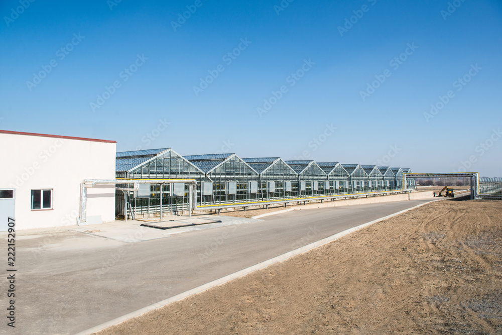 panorama and appearance of the greenhouse in the day time. facade and glass roof of hothouse