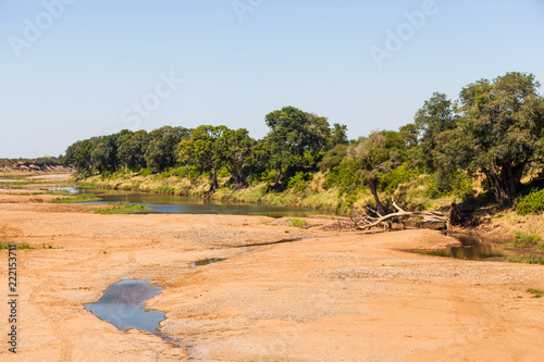 A dry river bed in the Kruger park, South Africa