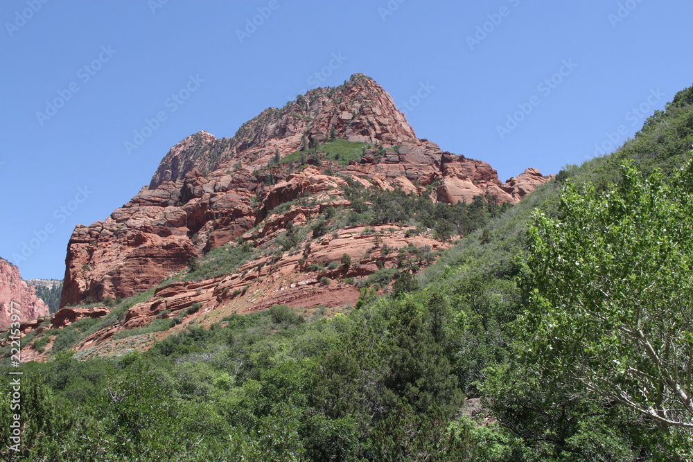 Zion National Park