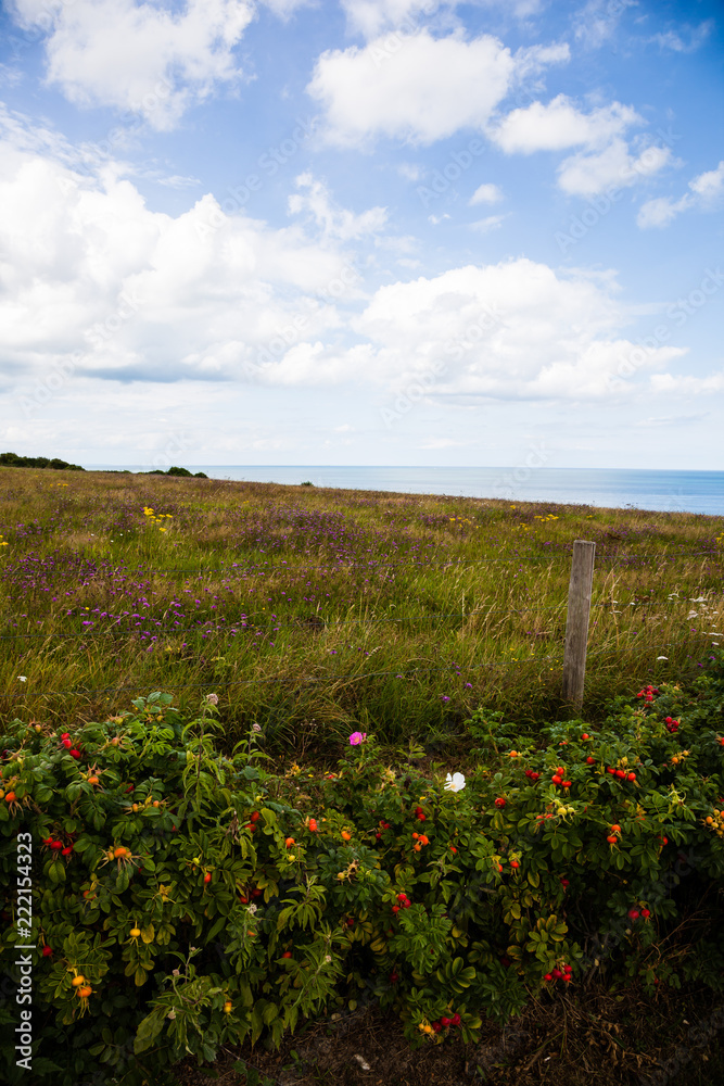 Fototapeta premium The trenches and fortifications at Omaha beach, Normandy, France.