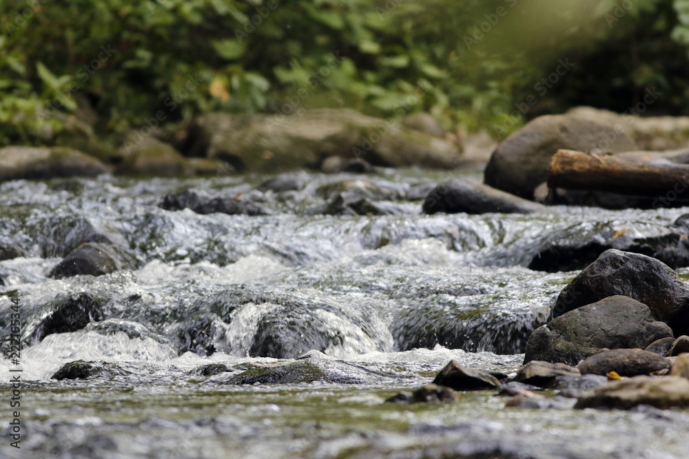 rivière rivière