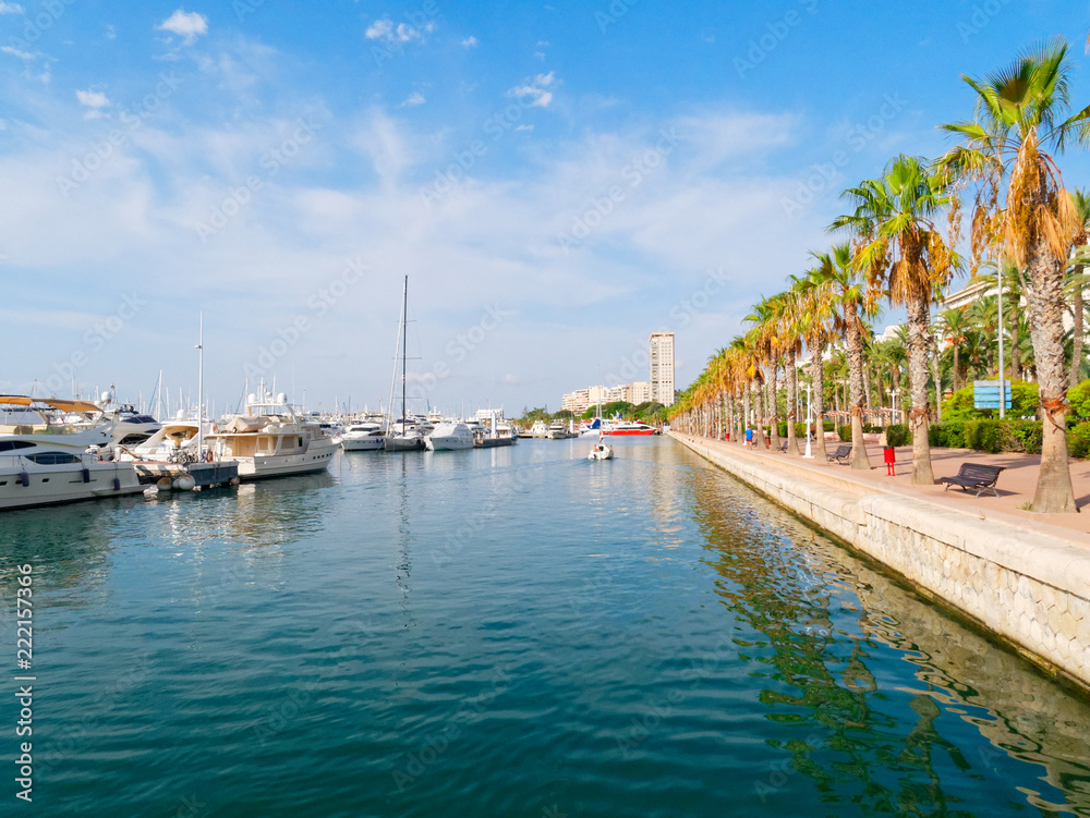 Promenade of palm trees in Alicante. View of the port.
