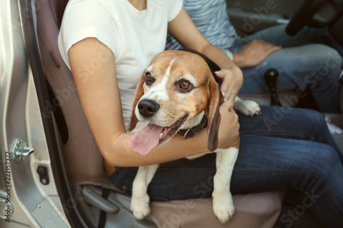 Young couple with cute dog sitting in car