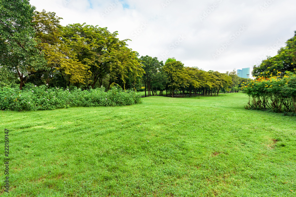 Green grass field in park at city center with business buildings.