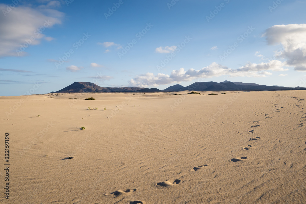 Parque Natural de Corralejo Sand Dunes Corralejo  La Oliva Fuerteventura  Canary Islands Spain