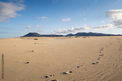 Parque Natural de Corralejo Sand Dunes Corralejo  La Oliva Fuerteventura  Canary Islands Spain