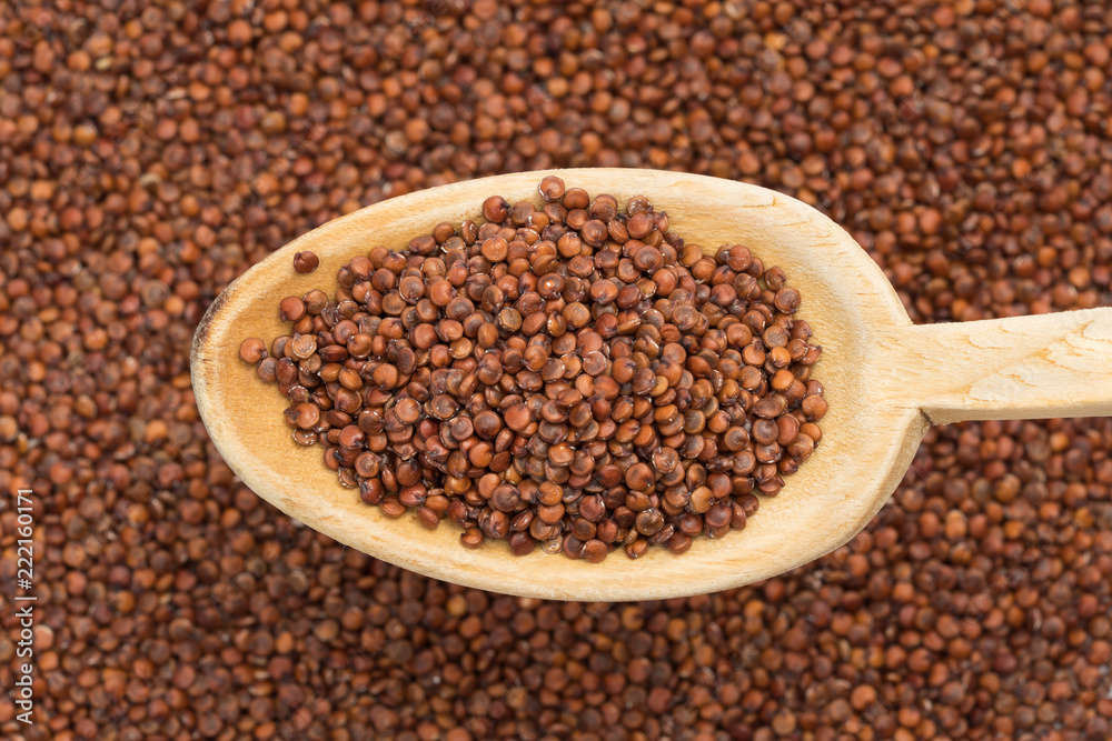 Red quinoa seeds on a wooden spoon seen from above on a blurred quinoa seed background Red quinoa seeds on a wooden spoon seen from above on a blurred quinoa seed background