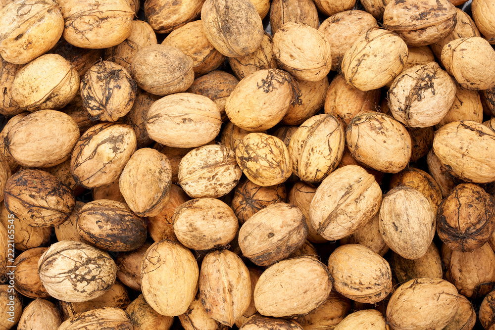 Top view of fresh harvested walnuts. Organic food background Top view of fresh harvested walnuts. Organic food background
