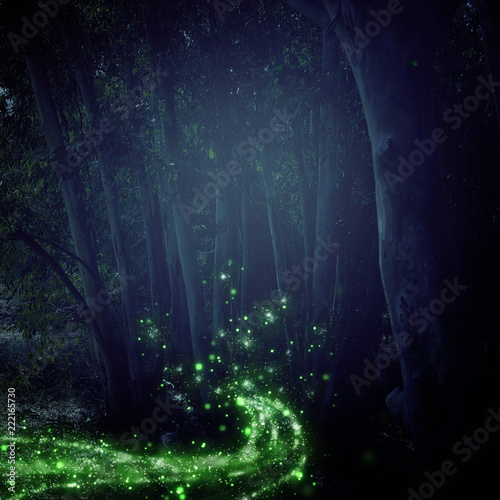 Abstract and magical image of Firefly flying in the night forest. Fairy tale concept. © tomertu