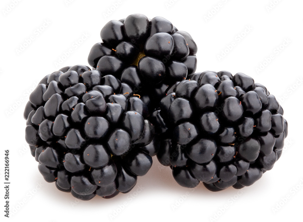 blackberry blackberry