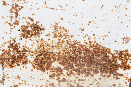 white texture of rusty metal, rusty white metal background © ffmr