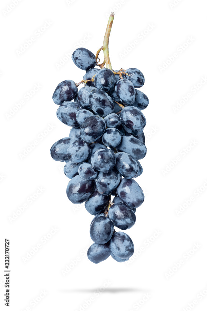 Branch of grapes with water drops, isolated on white background. File contains a path to isolation. Branch of grapes with water drops, isolated on white background. File contains a path to isolation.