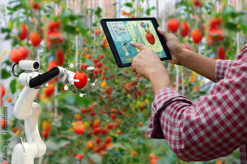 Farmer holding a tablet smart arm robot harvest work agricultural machinery technology