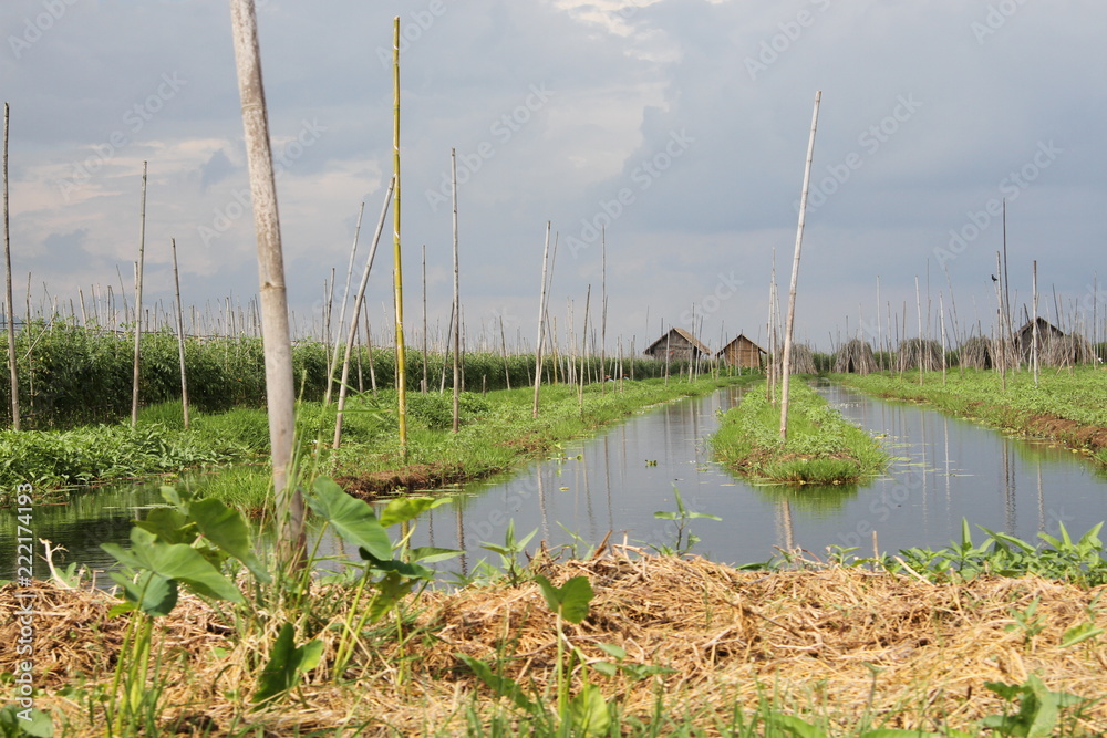 Obraz premium Kambodscha