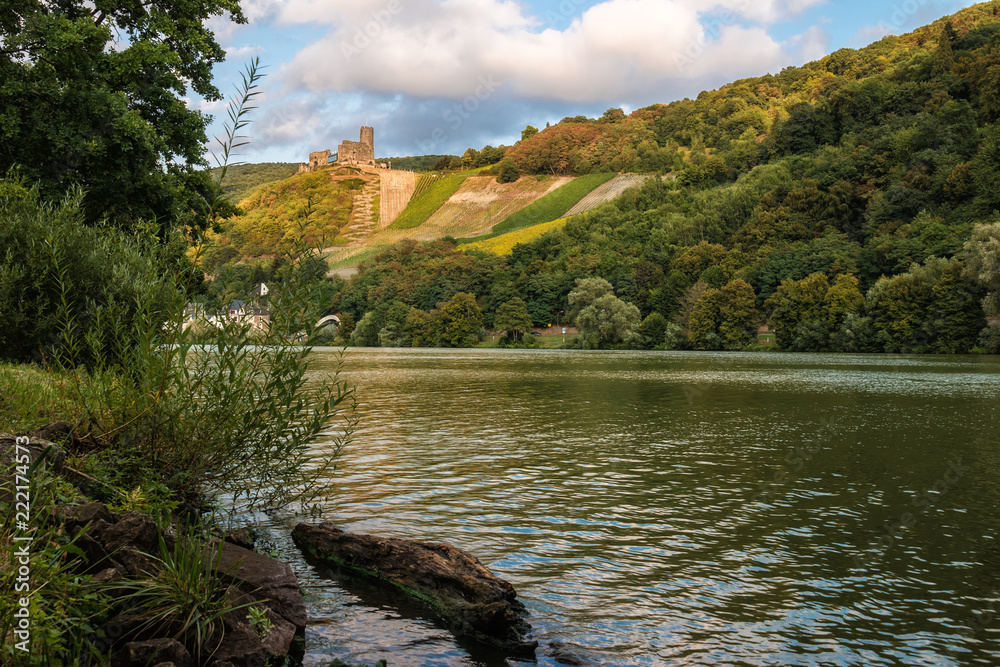 Moselblick zur Burg Landshut