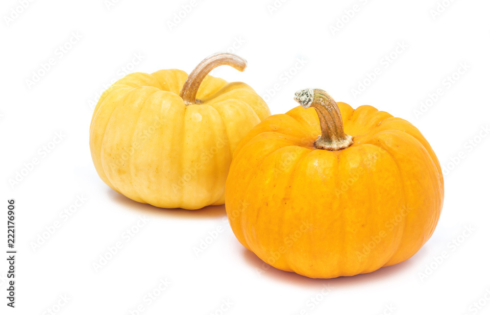 Pumpkin with stem isolated on white background ready for halloween fancy festival decoration