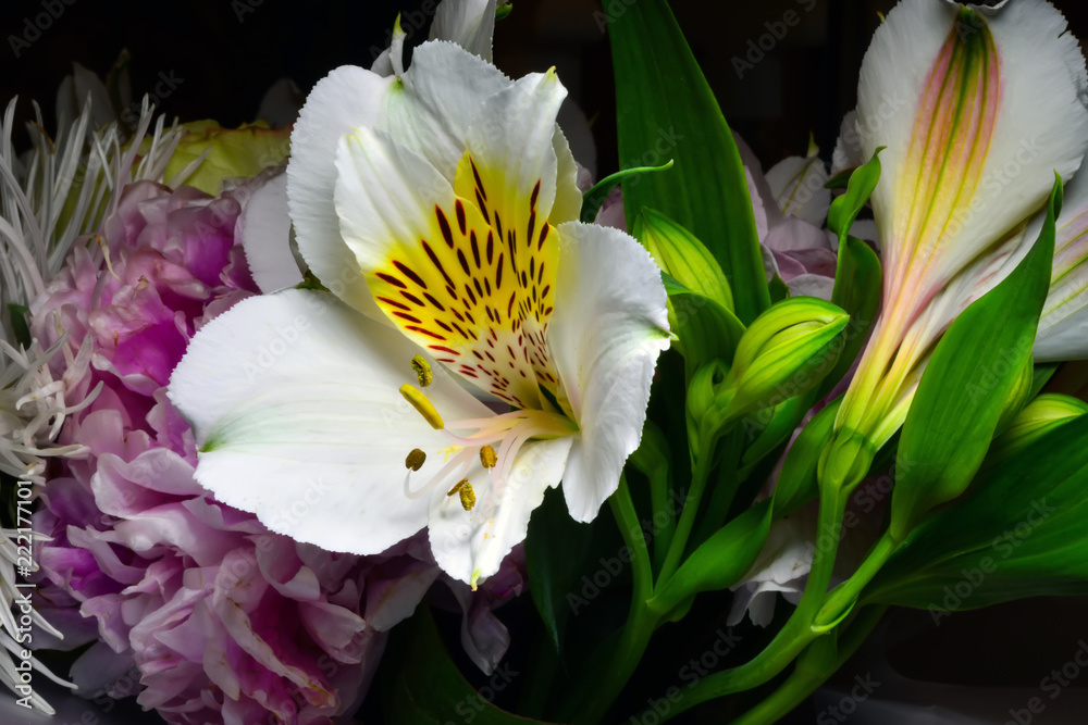 Fototapeta premium open flower of white alstroemeria in bouquet