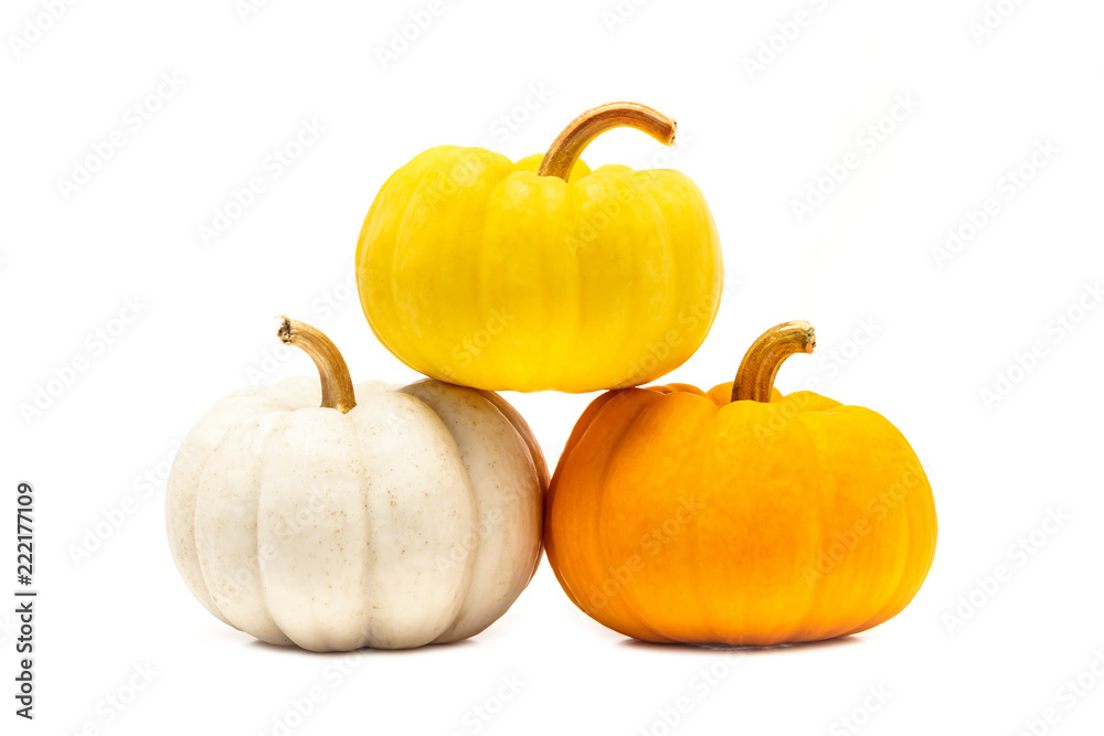 Pumpkin with stem isolated on white background ready for halloween fancy festival decoration Pumpkin with stem isolated on white background ready for halloween fancy festival decoration