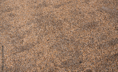 sand in the city park. texture. background