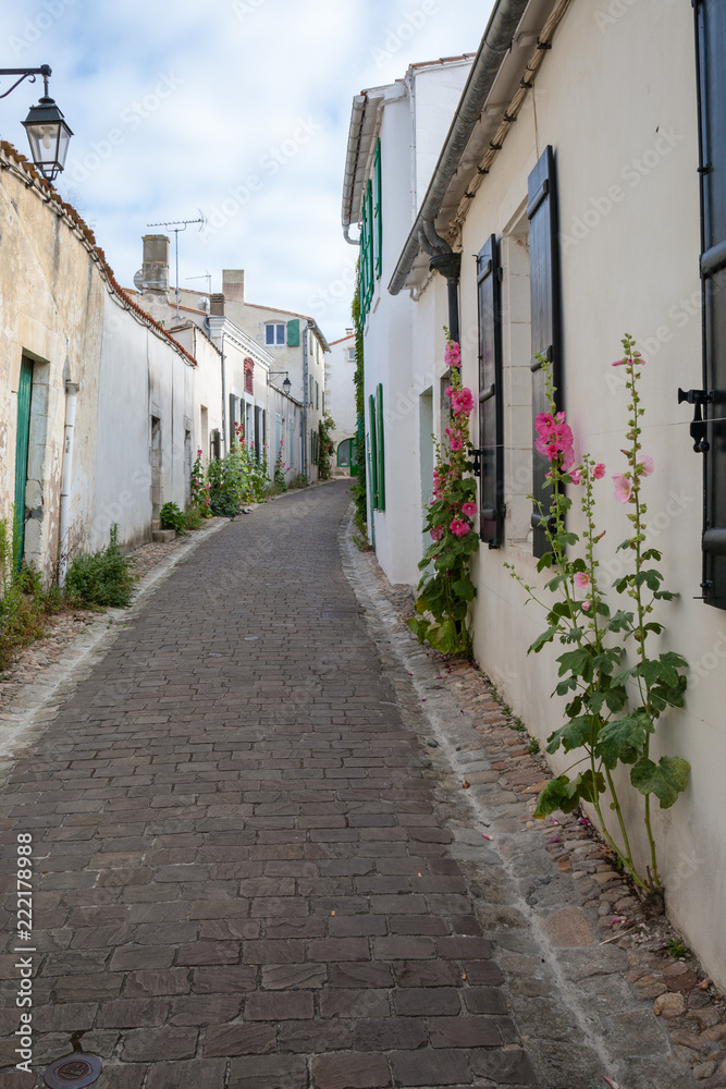 authentic cobblestone street, Saint Martin de Re, France.