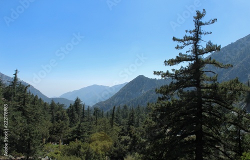 Angeles National Forest, viewed from Mount Baldy, San Gabriel Mountains,  California photo