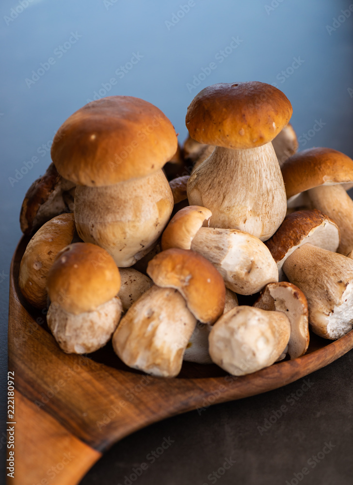 Porcini Wild forrest Mushrooms Porcini Wild forrest Mushrooms