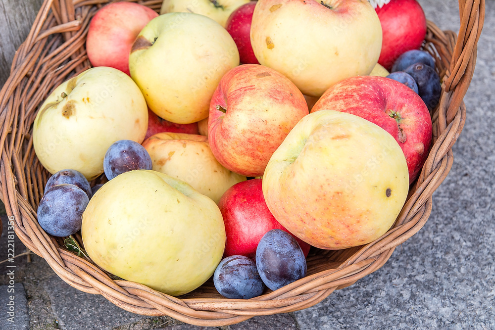 Fruits in the basket. Apples and plums.