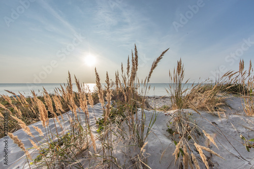 Fototapeta Naklejka Na Ścianę i Meble -  naturstrand an der ostsee