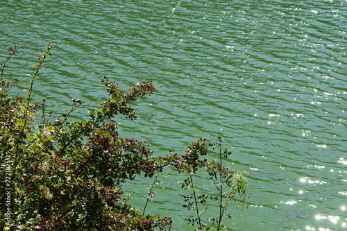 Moselufer bei Löf im Herbst photo