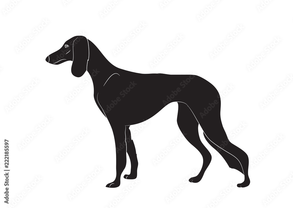 dog stands, silhouette, vector