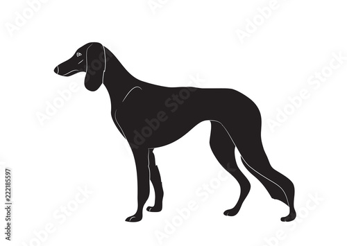 dog stands  silhouette  vector