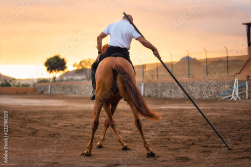 Horse training during scenic sunset