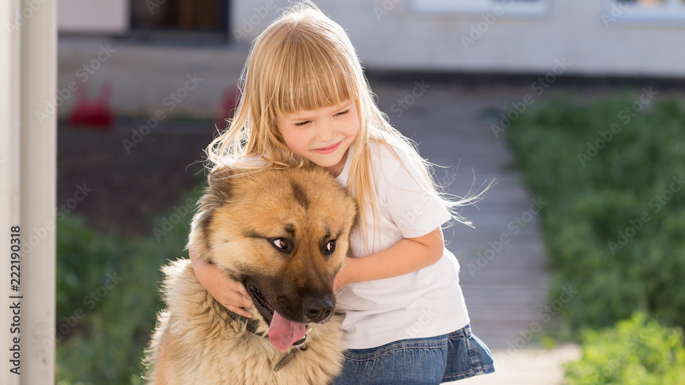 Girl, dog, embraces, home, fun, close up
