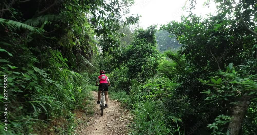 Cross country woman biker in summer forest Cross country woman biker in summer forest