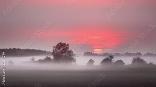 Fototapeta zachód słońca na mokradłach Podlasia