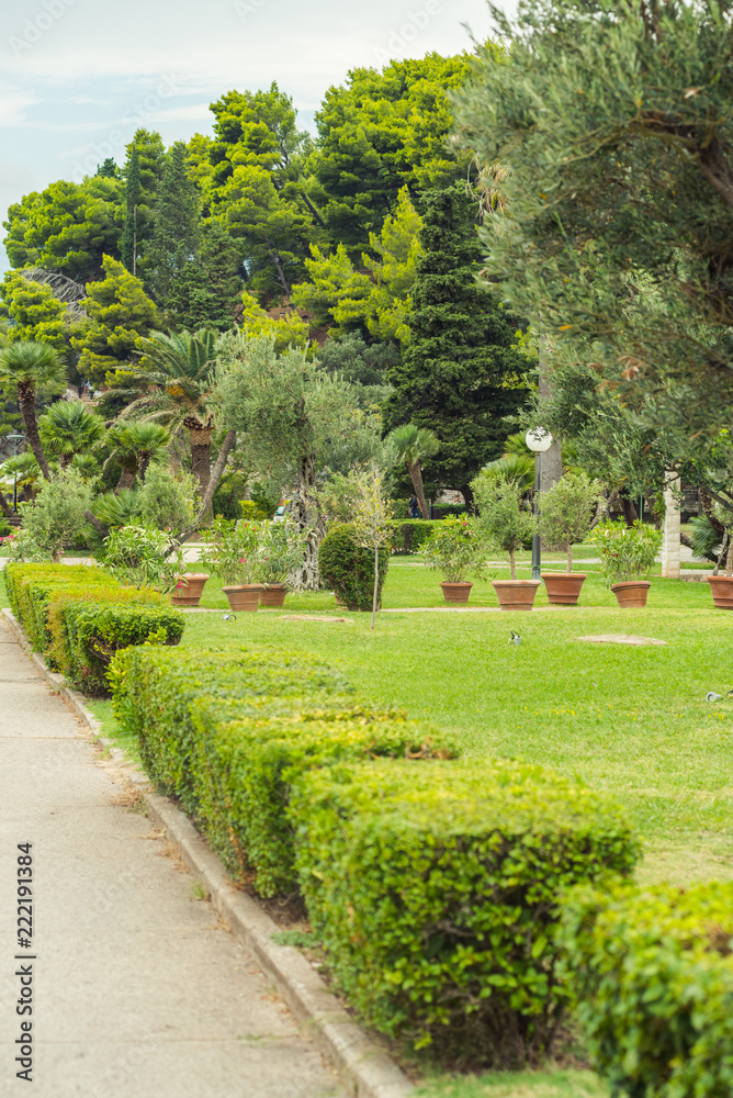 Decorative plants grow in a beautiful park