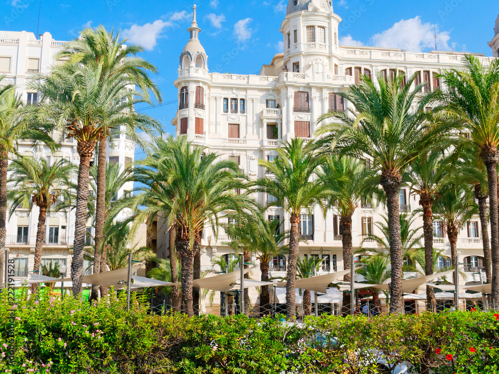 View of the city and palm trees in Alicante. Spain