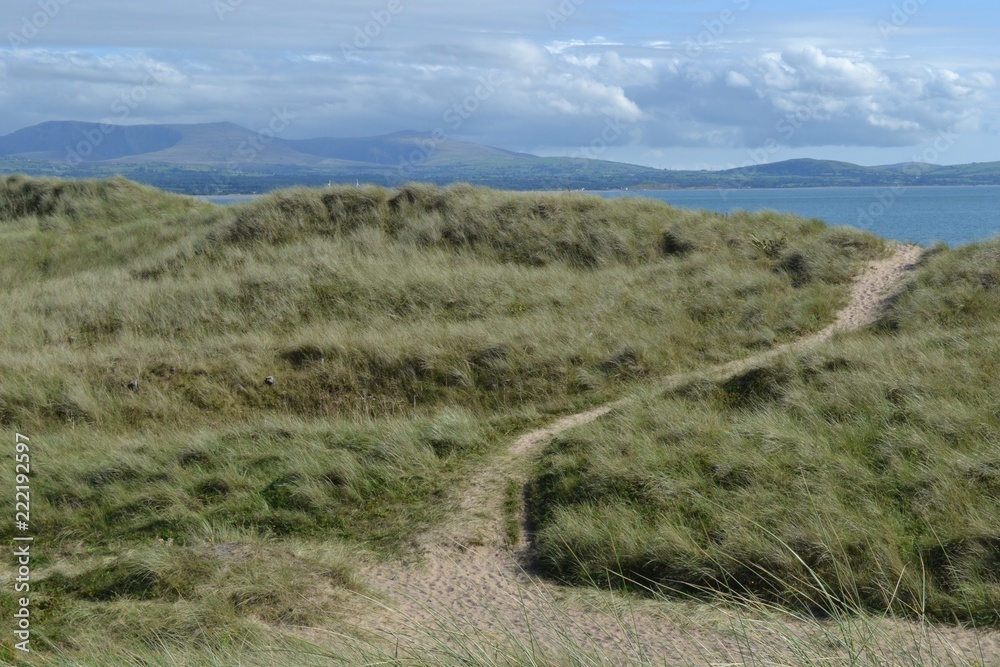 Sand dunes